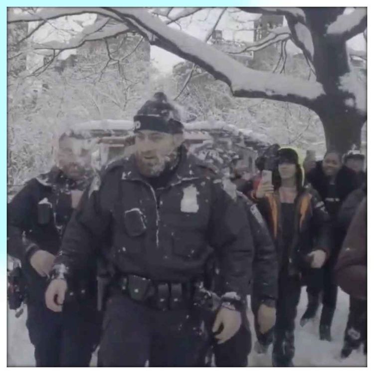 cover art for 156 - New York Snowball War