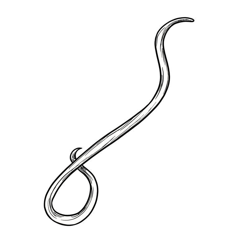 cover art for Heligan's Nematode - Professor Karl Ritz