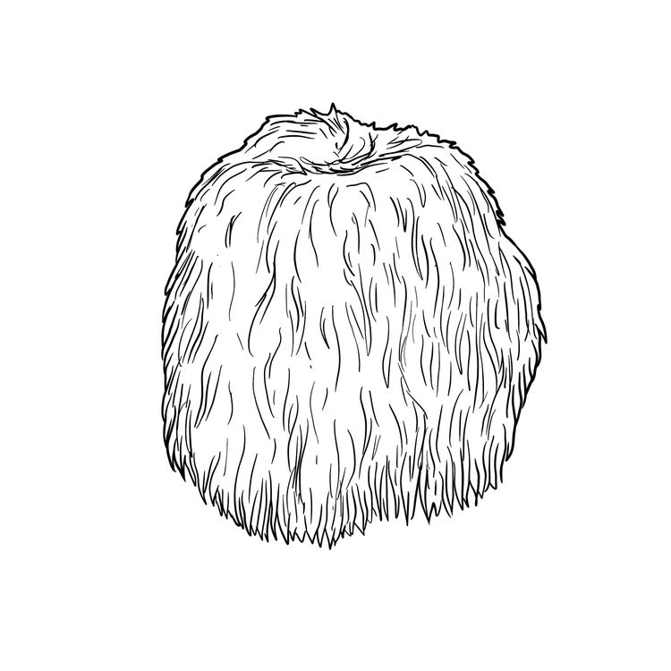 cover art for Heligan's Lion Mane Fungus - Merlin Sheldrake