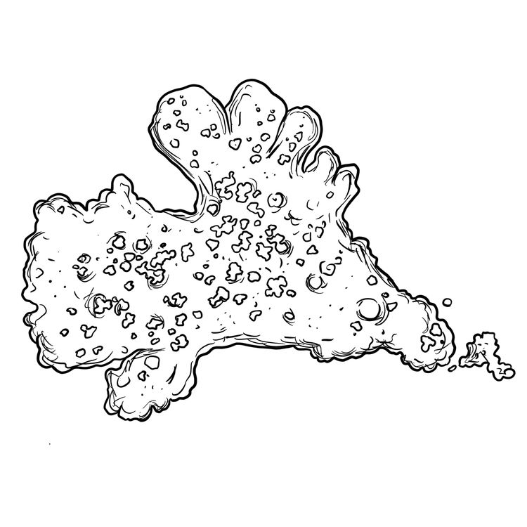 cover art for Heligan's Naked Amoeba - Professor Karl Ritz