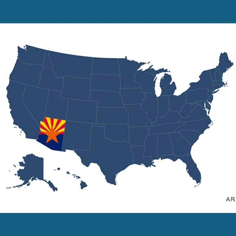 cover art for Episode 24: The swing states - Senator Stan Barnes from Arizona