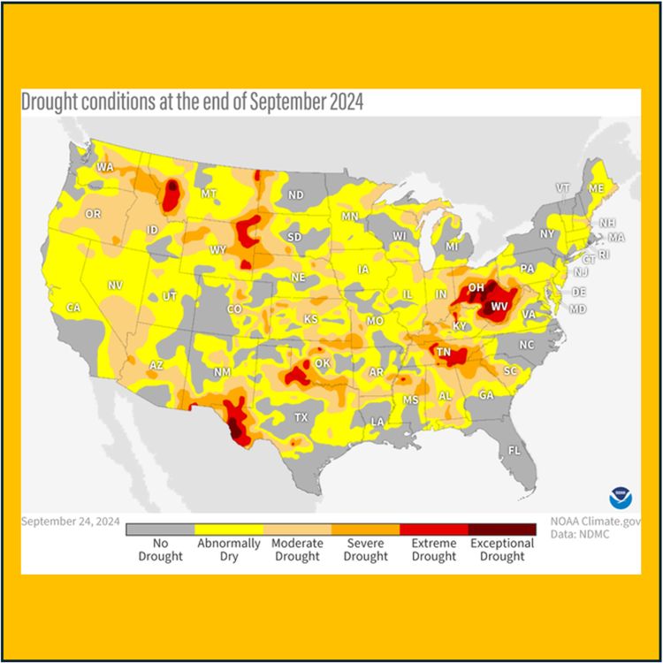 cover art for Episode 34: The climate issue