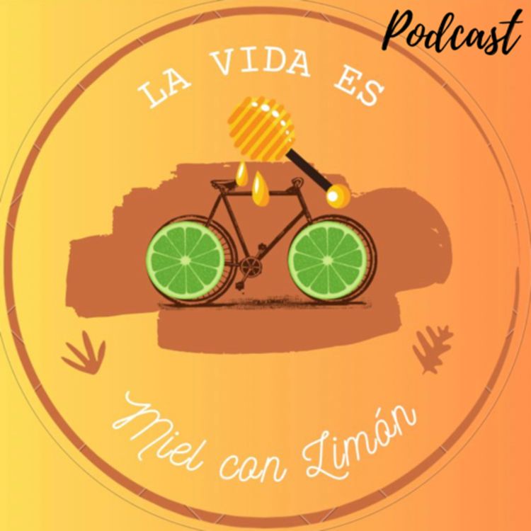 cover art for T1 E1 Viajes y Diversion