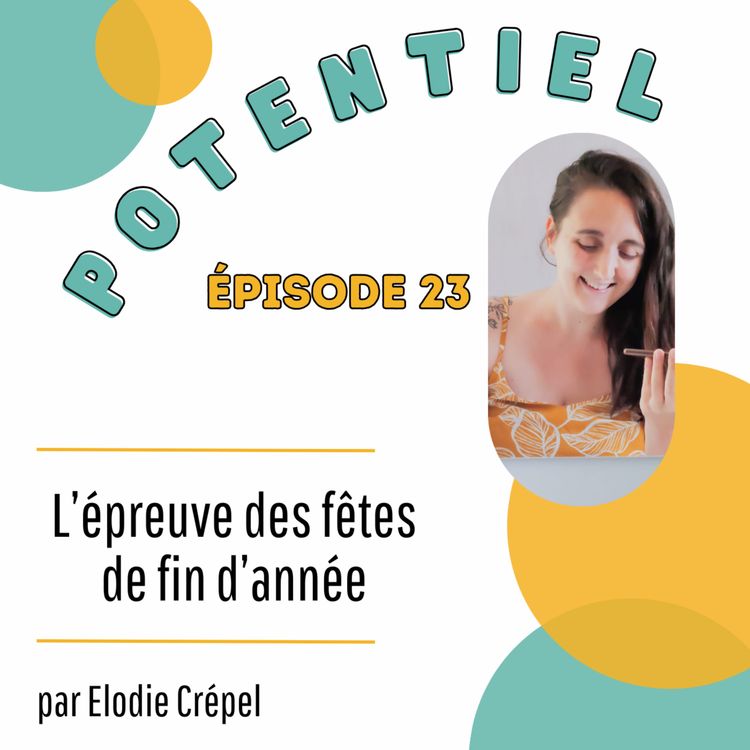 cover art for Épisode 23 : l’épreuve des fêtes de fin d’année