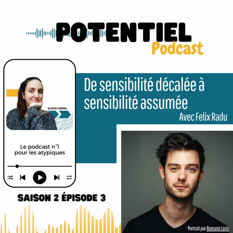 cover art for De la sensibilité décalée à la sensibilité assumée avec Felix Radu