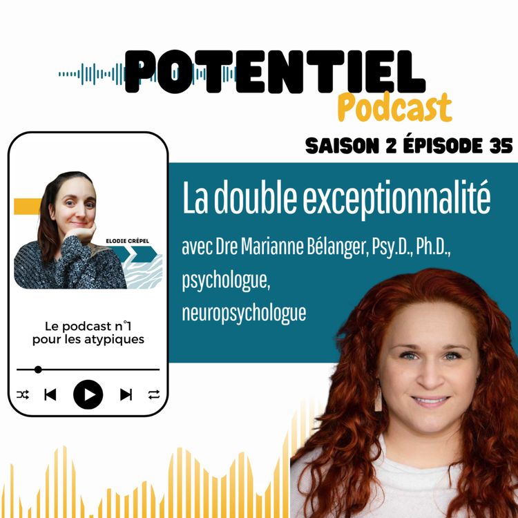 cover art for La double exceptionnalité
