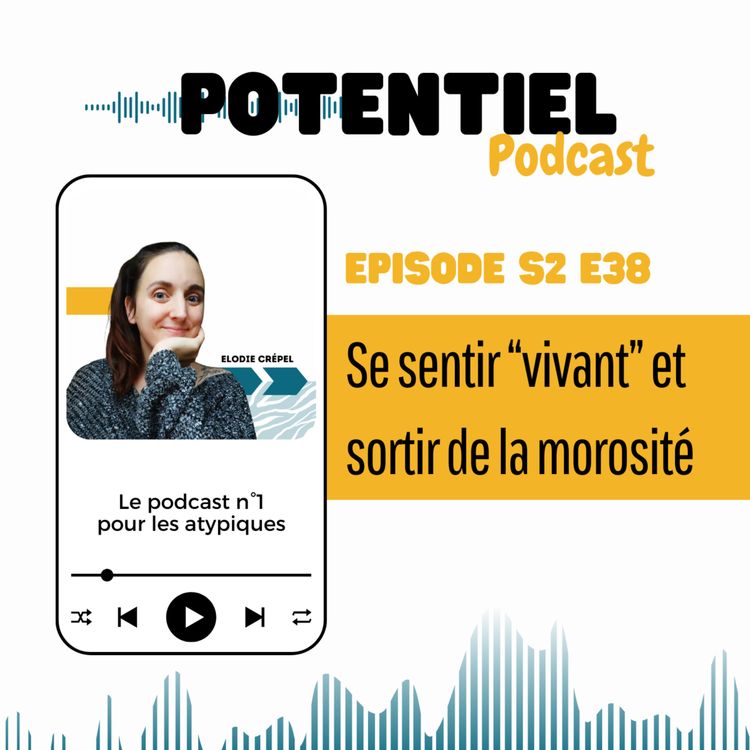 cover art for Se sentir vivant et sortir de la morosité