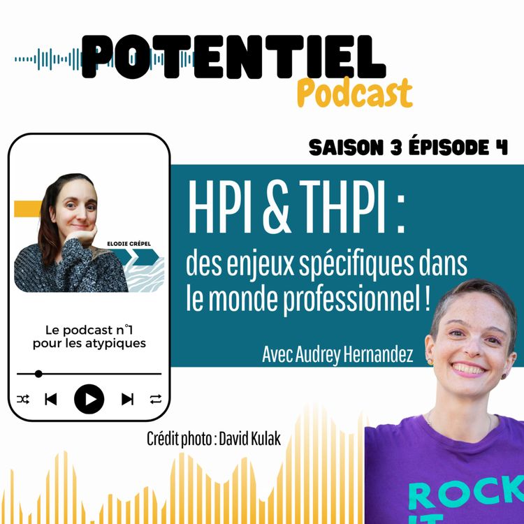 cover art for HPI & THPI : des enjeux spécifiques dans le monde professionnel