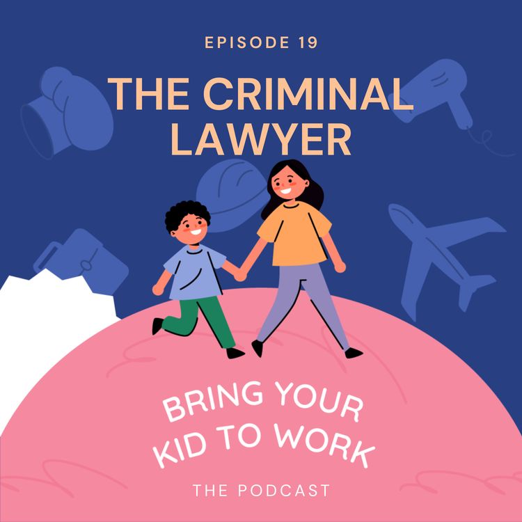 cover art for 19. The Criminal Lawyer - Laura Reece