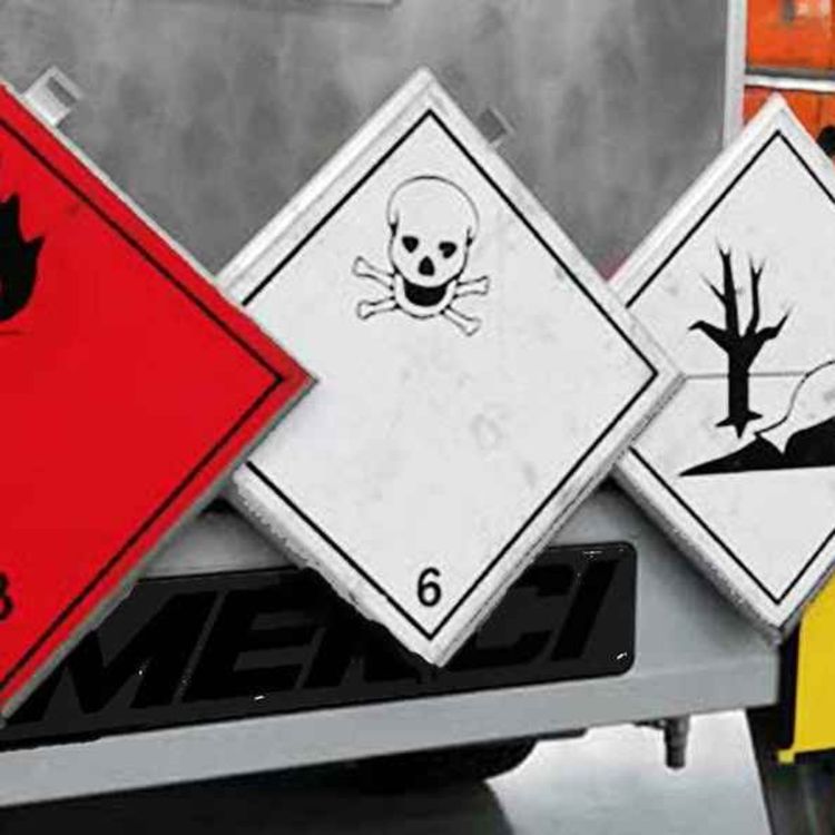 cover art for L'esperto in materia ADR