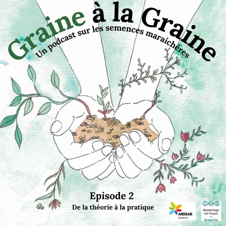 cover art for De la théorie à la pratique