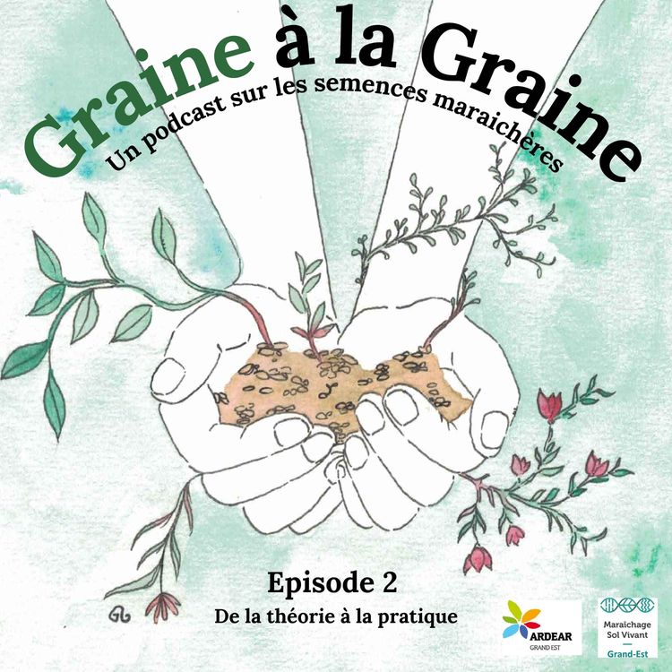 cover art for De la théorie à la pratique 