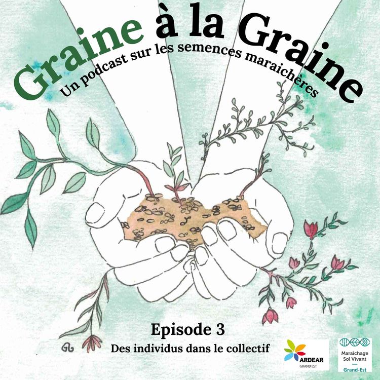 cover art for Des individus dans le collectif