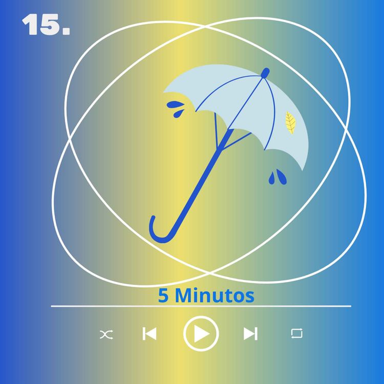 cover art for ¿Que es un seguro?