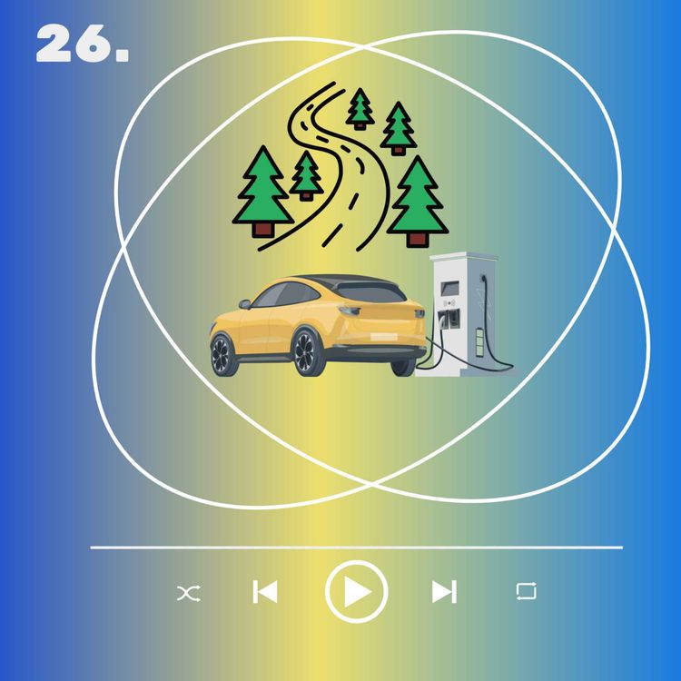 cover art for ¿Cómo pasamos del caos al control en el mundo de los seguros de autos?