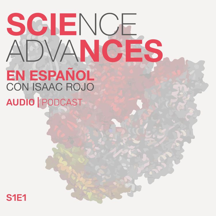 cover art for 📰 Un nuevo estudio que pudiera darnos pistas sobre como desacelerar el envejecimiento