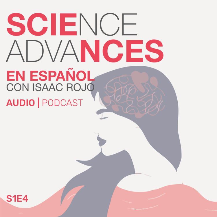cover art for 📚 Cómo la menopausia cambia nuestros cerebros y que estamos haciendo para combatirlo