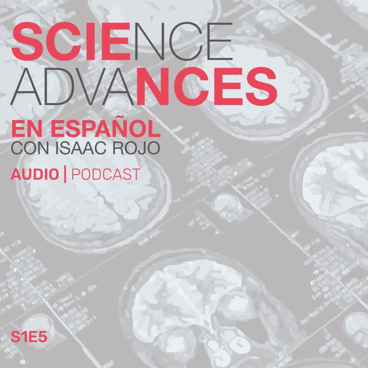 cover art for 📰 Una nueva IA que puede "leer la mente" fue desarrollada en la Universidad de Texas