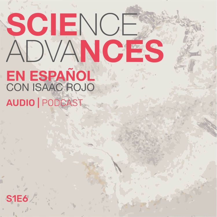 cover art for 🚨 El preciado fósil de dinosaurio que finalmente será devuelto a Brasil