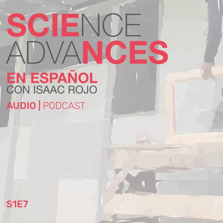 cover art for 📰 Investigadores crean la primera casa de bajo costo utilizando...pañales! como material de construcción