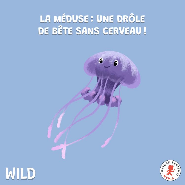 cover art for La Méduse : une drôle de bête sans cerveau !