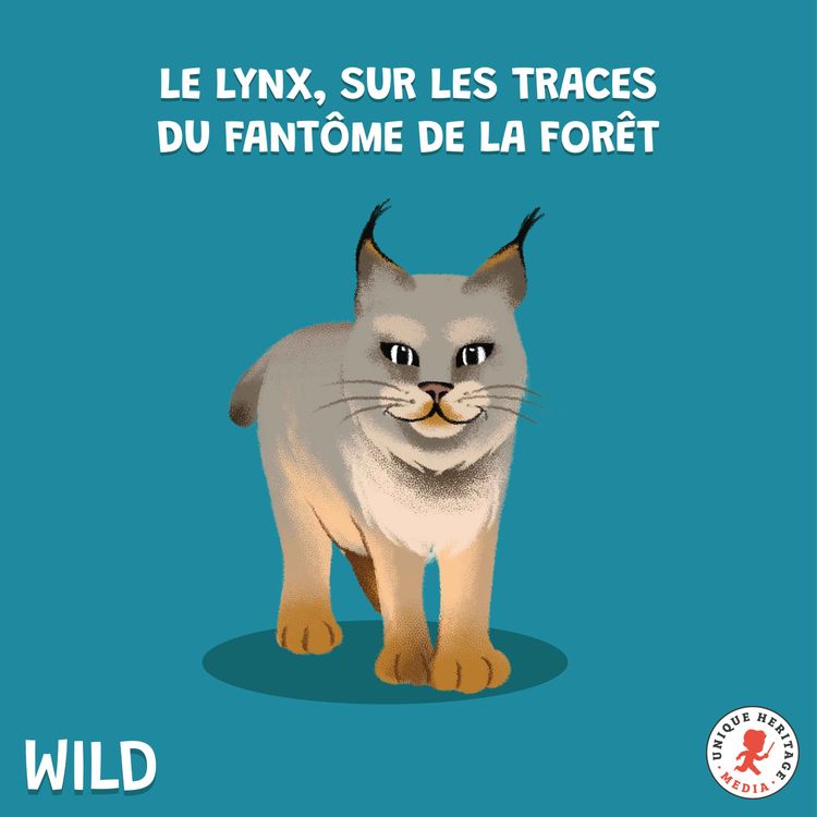cover art for Le Lynx, sur les traces du fantôme de la forêt (Partie 1)