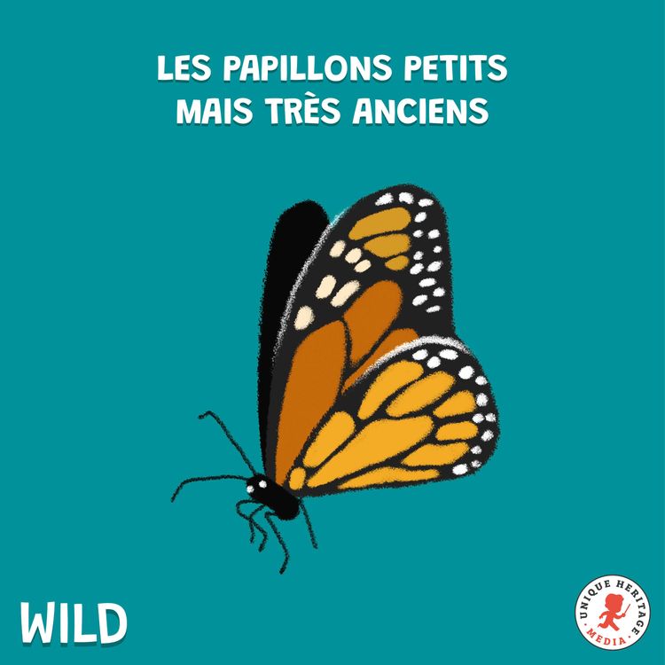 cover art for Les Papillons petits mais très anciens (Partie 2)