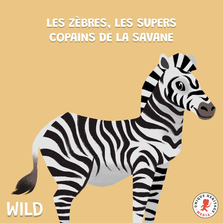 cover art for Les Zèbres, les supers copains de la savane !