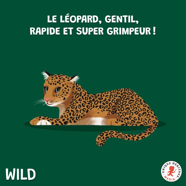 cover art for Le Léopard, gentil, rapide et super grimpeur !