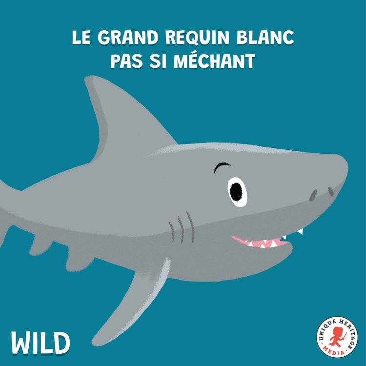 cover art for Le grand Requin Blanc pas si méchant !