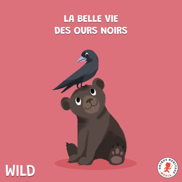 cover art for La belle vie des Ours noirs !