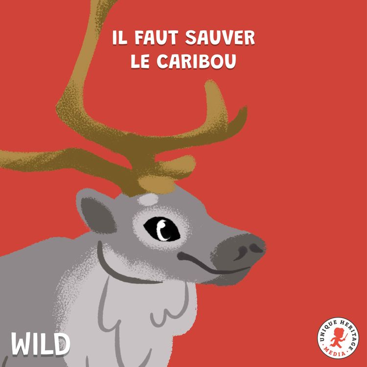 cover art for Il faut sauver le Caribou !