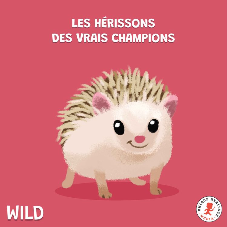 cover art for Les Hérissons des vrais champions !