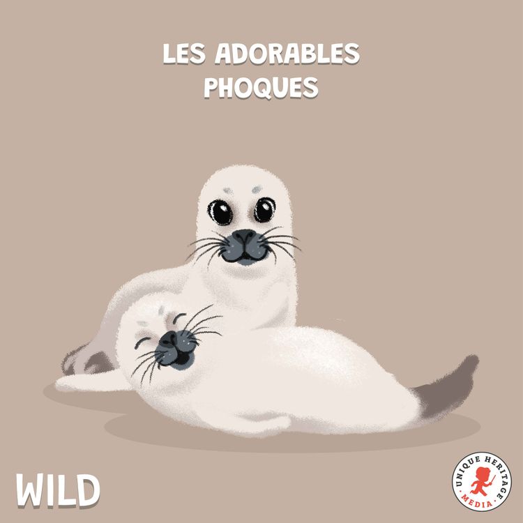 cover art for Les adorables Phoques !