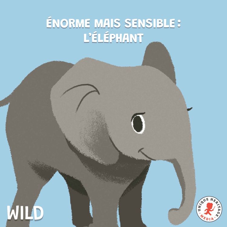 cover art for Énorme mais super sensible : l'Eléphant