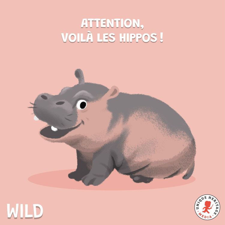 cover art for Attention, voilà les Hippos !