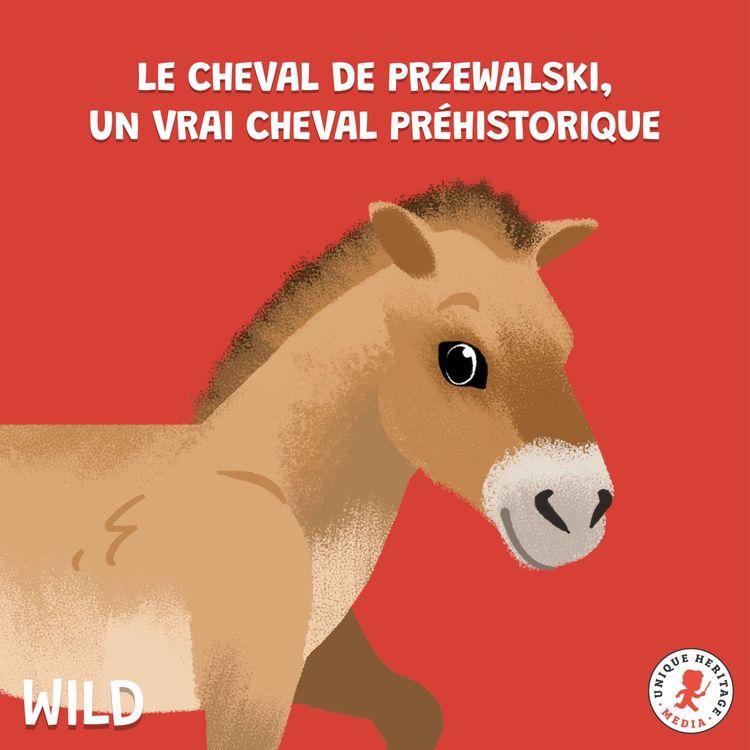 cover art for Le Cheval de Przewalski, un vrai cheval préhistorique (Partie 2)