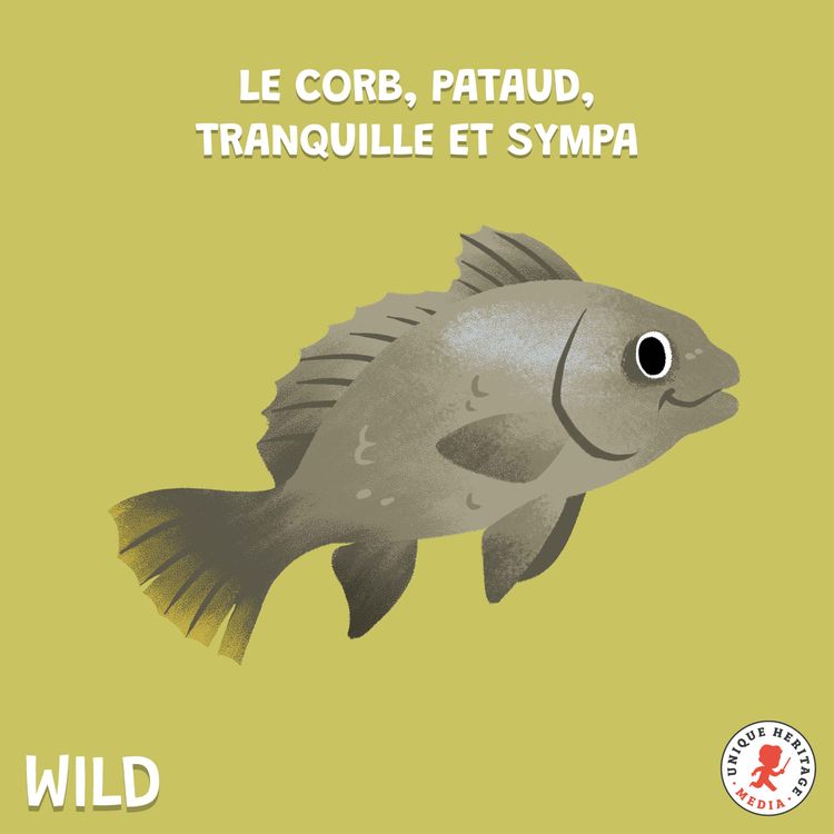 cover art for Le corb, pataud, tranquille et sympa