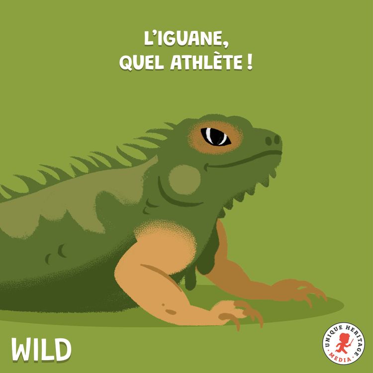 cover art for L'iguane, quel athlète ! 