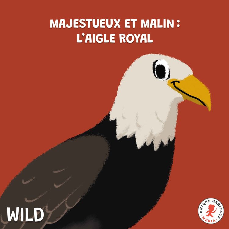 cover art for Majestueux et super malin, l'Aigle Royal !