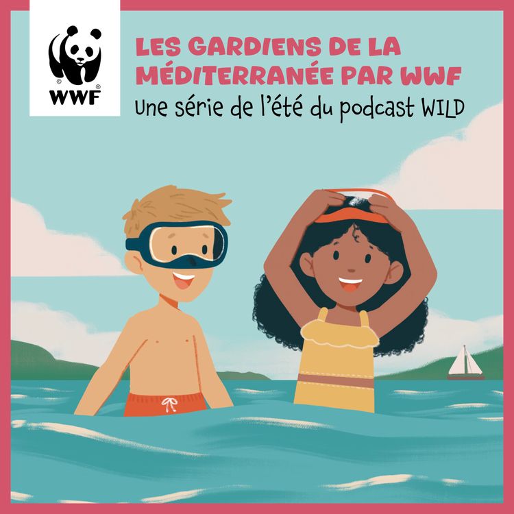 cover art for La Daurade, le caméléon des mers / Emission 3 du WWF 