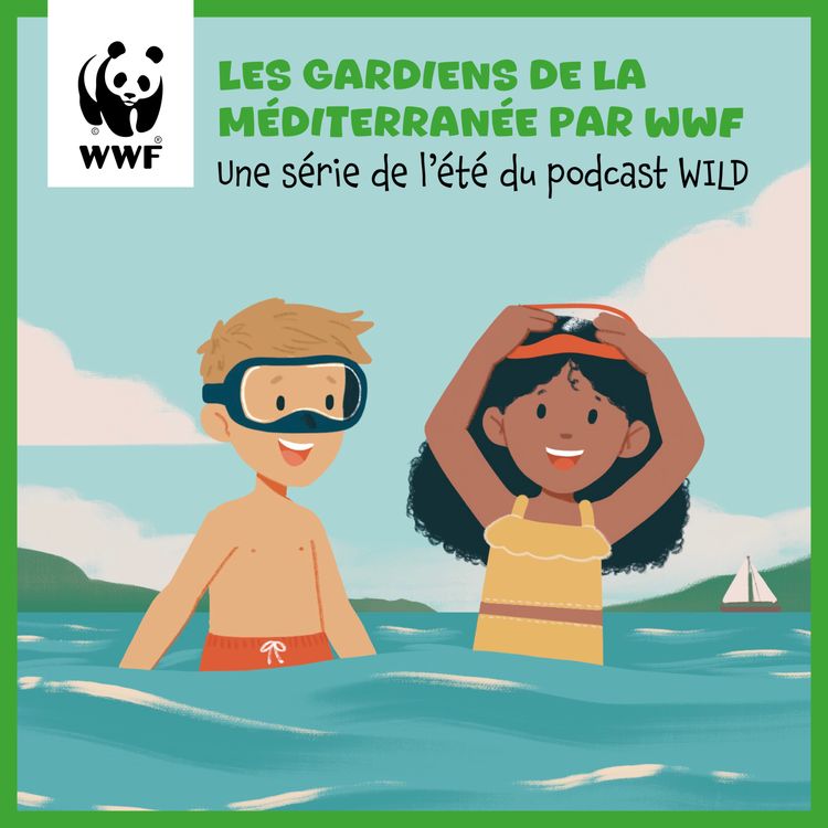 cover art for le Crabe, l'éboueur des plages / Emission 4 du WWF