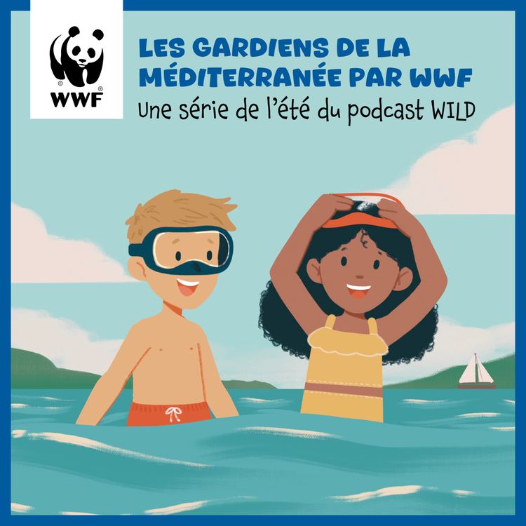 cover art for L'Hippocampe, un super papa bien camouflé / Emission 10 du WWF 