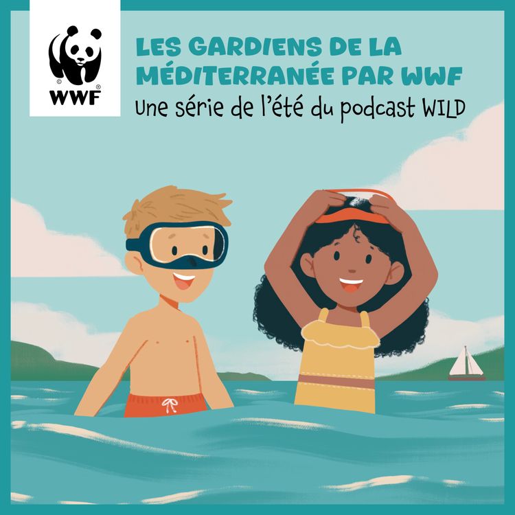 cover art for Le Dauphin bleu et blanc, glouton et super sympa avec les humains / Emission 15 du WWF