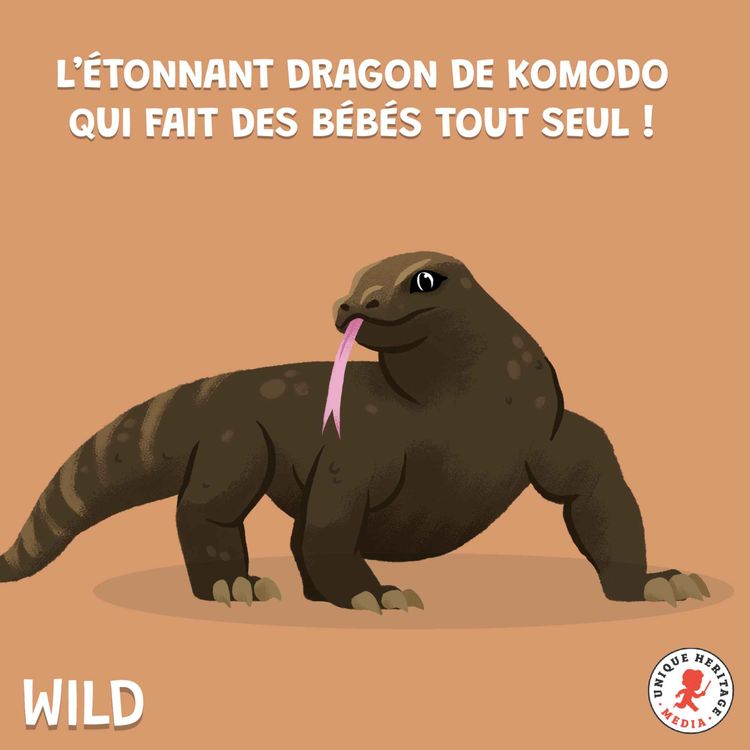 cover art for L'étonnant Dragon de Komodo qui fait des bébés tout seul ! 