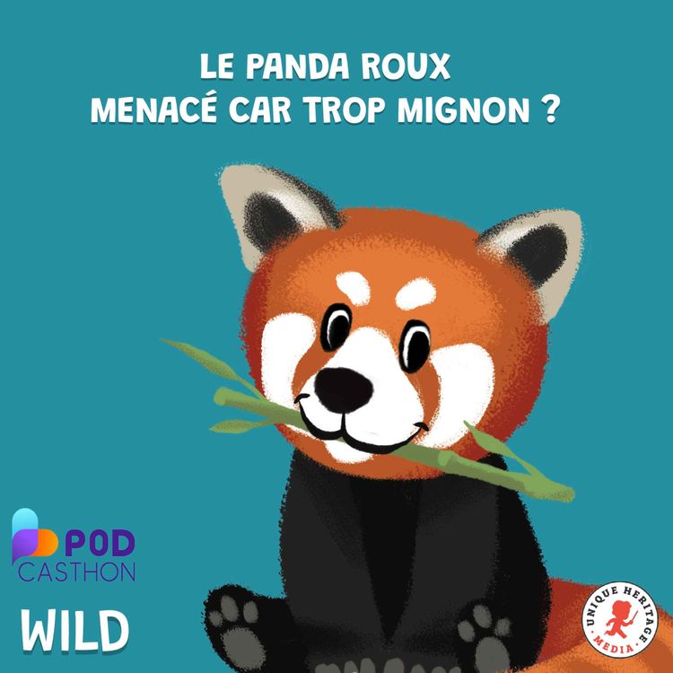 cover art for Le Panda Roux, menacé car trop mignon ?