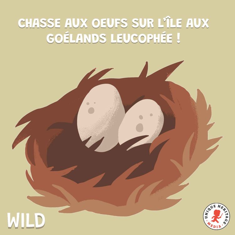 cover art for Chasse aux oeufs sur l'île aux goélands leucophée
