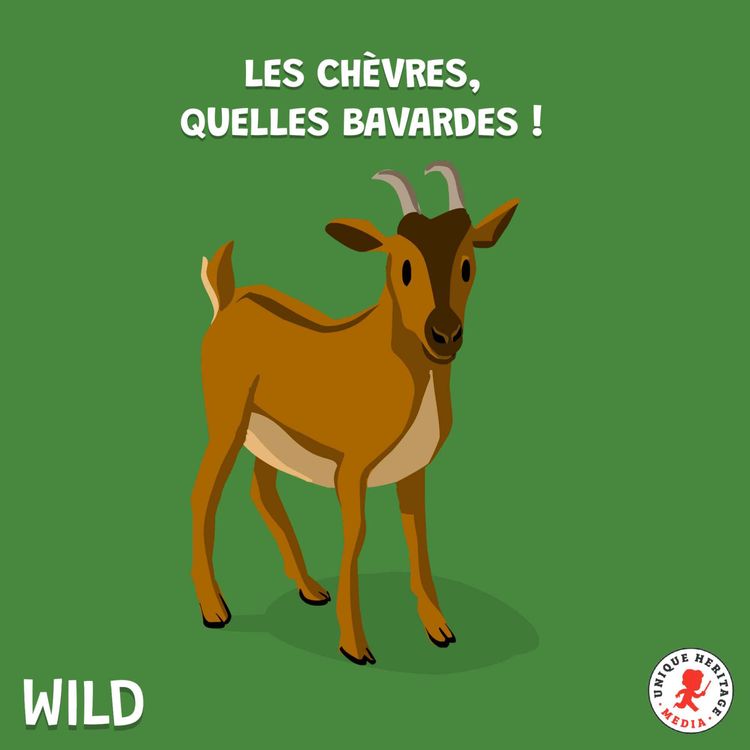 cover art for Les chèvres, quelles bavardes !