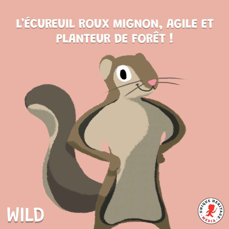cover art for L'écureuil roux, le planteur de forêt