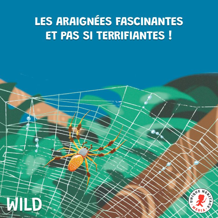 cover art for Les araignées fascinantes et pas si terrifiantes, épisode 1
